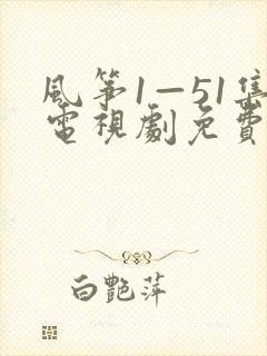 风筝1—51集电视剧免费观看下载