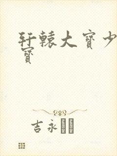 轩辕大宝少年大宝