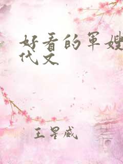 好看的军嫂文年代文