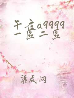 午夜a9999一区二区