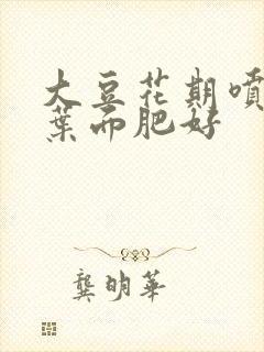 大豆花期喷什么叶面肥好