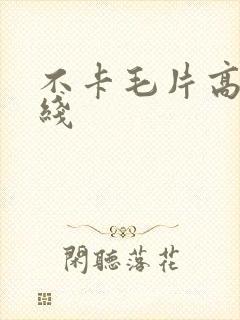 不卡毛片高清在线
