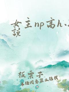 女主np高h小说