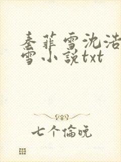 秦菲雪沈浩秦菲雪小说txt