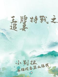 王牌特战之权少追妻