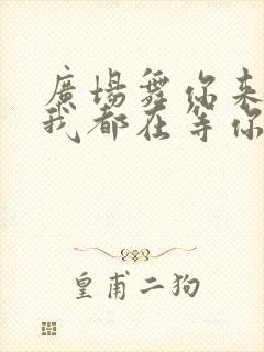 广场舞你来不来我都在等你背面完整版
