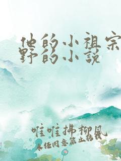 他的小祖宗甜又野的小说