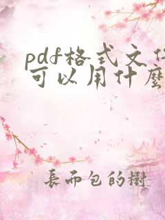 pdf格式文件可以用什么打开