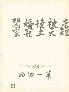 闪婚后被老公全家宠上天短剧全集