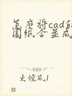 怎么将cad的图纸合并成一个pdf
