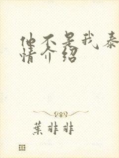 他不是我泰剧剧情介绍