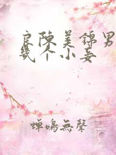 良陈美锦男主有几个小妾