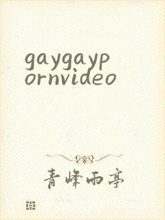 gaygaypornvideo