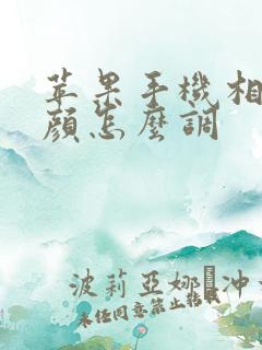 苹果手机相机美颜怎么调