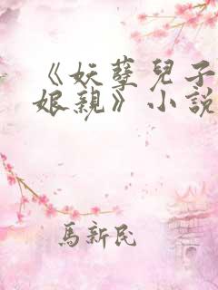 《妖孽儿子腹黑娘亲》小说