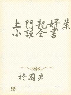 上门龙婿叶辰的小说全书