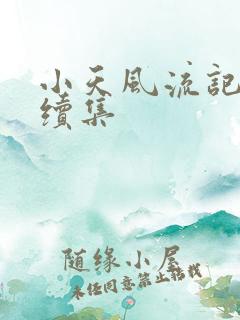 小天风流记史记续集