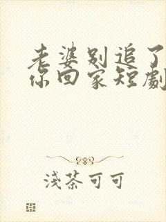 老婆别追了我跟你回家短剧演员介绍