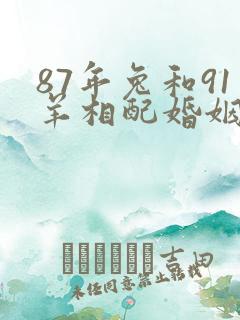 87年兔和91羊相配婚姻如何