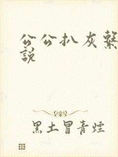 公公扒灰系列小说