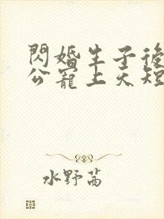 闪婚生子后被老公宠上天短剧合集