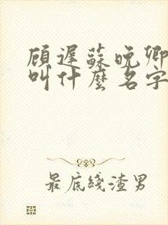 顾迟苏晚卿小说叫什么名字