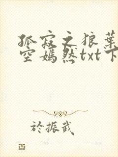 孤寂之狼叶凡司空嫣然txt下载