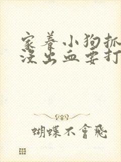 家养小狗抓破皮没出血要打针吗
