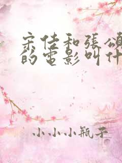 宋佳和张颂文演的电影叫什么名字