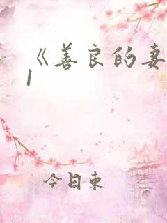 《善良的妻子》1