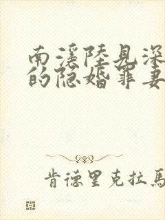 南溪陆见深陆少的隐婚罪妻
