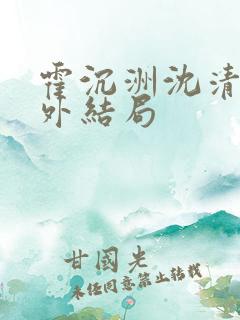 霍沉洲沈清禾番外结局