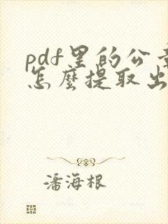 pdf里的公章怎么提取出来