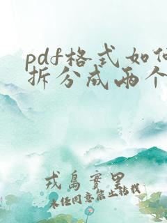 pdf格式如何拆分成两个文件