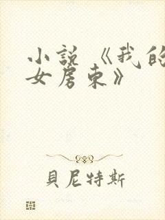 小说 《我的美女房东》