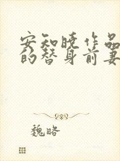 安知晓作品总裁的替身前妻