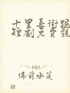 十里长街跪月光短剧免费观看全集