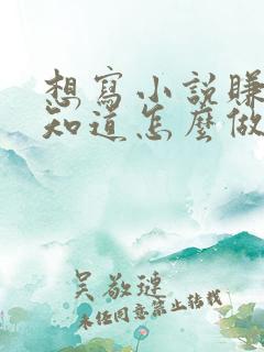 想写小说赚钱不知道怎么做