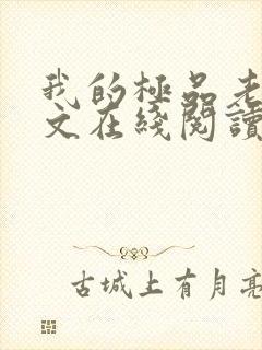 我的极品老婆全文在线阅读