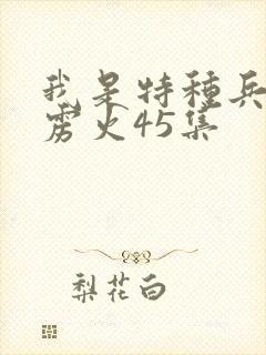 我是特种兵之霹雳火45集