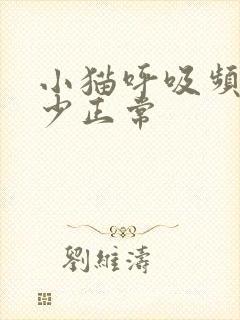 小猫呼吸频率多少正常