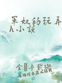 军奴的玩弄调教h小说