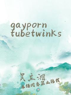 gayporntubetwinks
