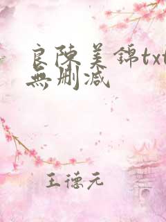 良陈美锦txt无删减