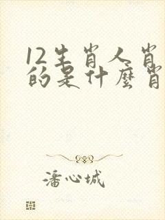 12生肖人肖指的是什么肖