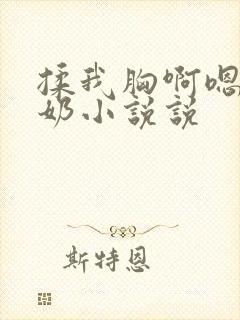 揉我胸啊嗯出水奶小说说