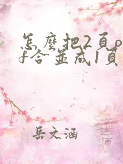 怎么把2页pdf合并成1页