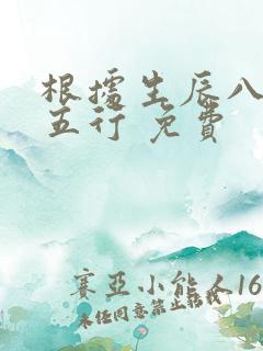 根据生辰八字查五行 免费