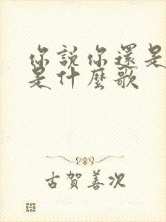 你说你还是爱我是什么歌