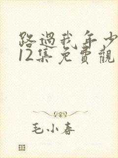 路过我年少时光12集免费观看
